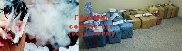 прущие грибы Балахна