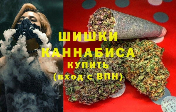 прущие грибы Балахна