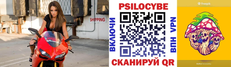 Псилоцибиновые грибы Cubensis  Купить где  Приозерск 